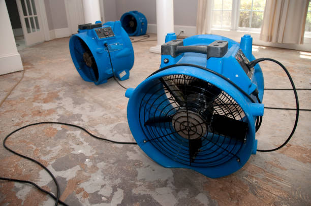 Best Water damage restoration near me  in Collierville, CA