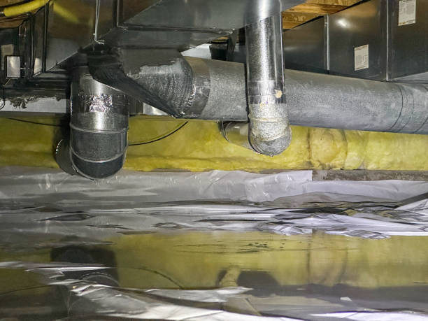 Best Local water damage restoration  in Collierville, CA