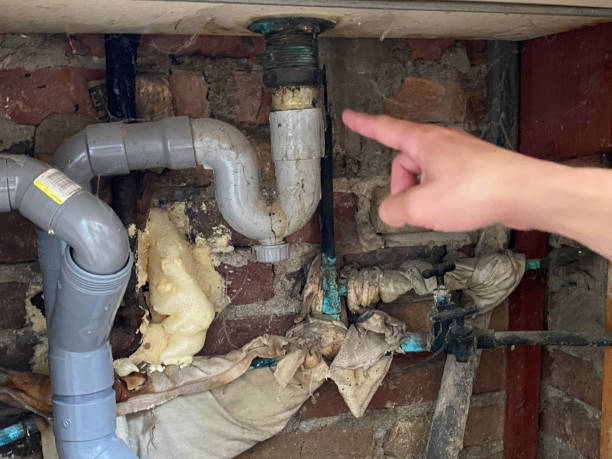 Best Ceiling water damage repair  in Collierville, CA
