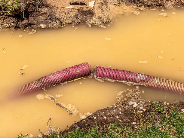Best Water damage restoration insurance claims  in Collierville, CA